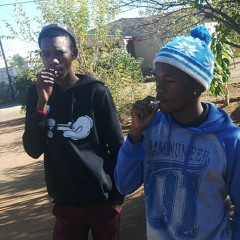 Siya shezi