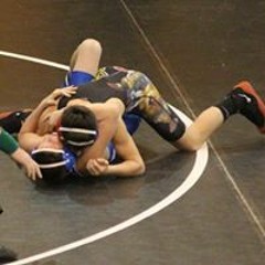 Stevie Wildcat Silva