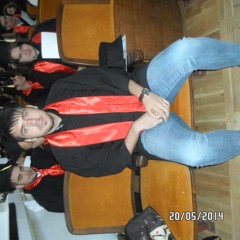 Alexandru Stefanescu.