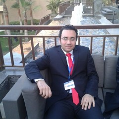 Mohammed Fawzy 17
