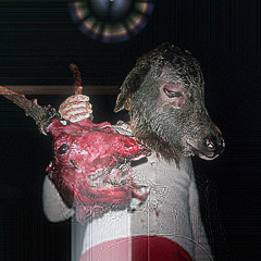 xenogorga