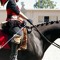 Pony Rider 3