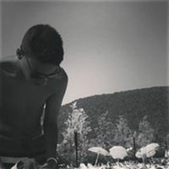 Travis