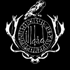 Mikael Andersson - Begin Example