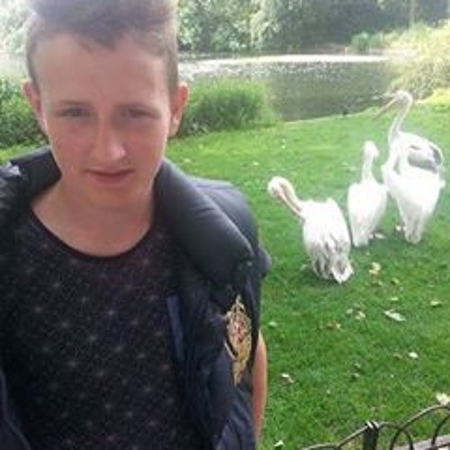 Stream Macaulay Clarke music Listen to songs, albums, playlists for