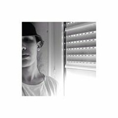 Amir Lzn