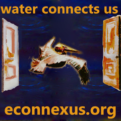 Water Connects Us