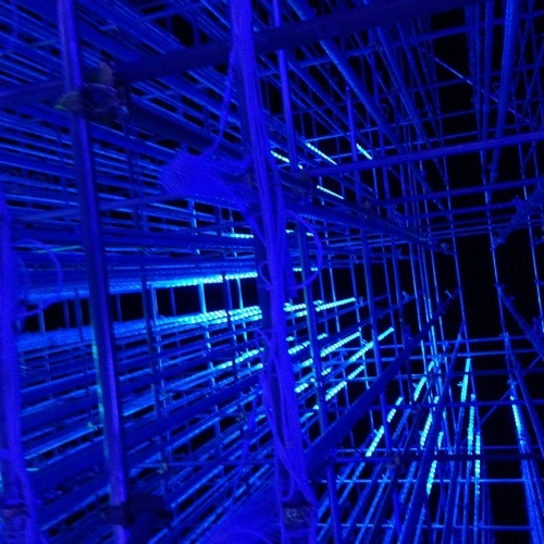 カラオケ 青い春 back number