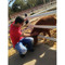 Ahmed Dessoqy