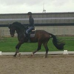 Wouter_Boss