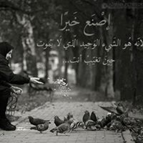 Stream Mohamed N Rashwan music Listen to songs, albums, playlists for