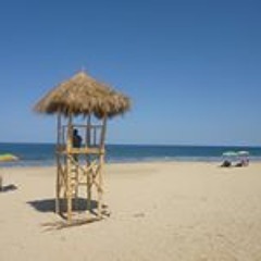 Sangue Bom Abadá Capoeira