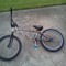 dylan_joseph
