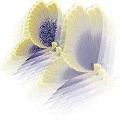 Marijke Vd Ploeg-de Gans