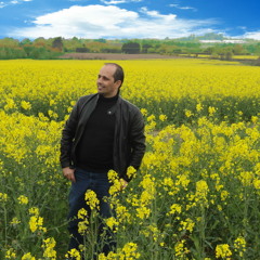 Omar Hazem AL-healiy