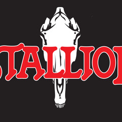 stallionband