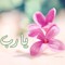 Lobna Abdulaziz 1