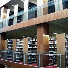 Molly Brisbois Pasquier