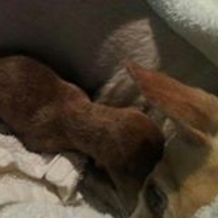 Austin Jones - Meds & Beds