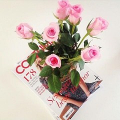 ◆ arizona sugar ◇