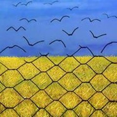 Bogdan Delo Mista Bo