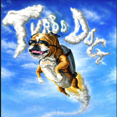 Turo dog’s avatar