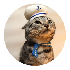 Sailorcathere