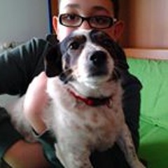 Teo Werf