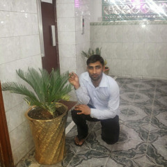 wasif hussain 8