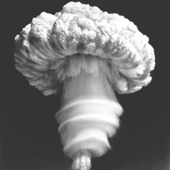 tykodo2