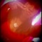 user755820098