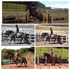 Kris Turner-Sterling