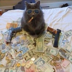 chancemoiola