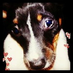 'Malin Harris Freeman