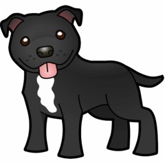 Jony  D