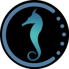 Seahors3