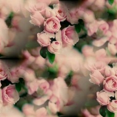 Ost Võ Tắc Thiên Truyền Kỳ_ Thiên Thu