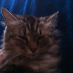 ReEcEs Knup