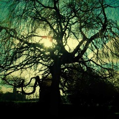 Xam22 - Composer/Pianist