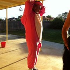 Tristram Tridy Herden