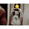 JUt DaebaK=)