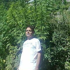 Sudhir Gautam 2