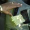 dj_showtyme954