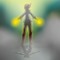 pixeldrops