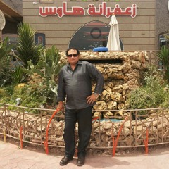 الشيخ عبد الباسط عبد الصمد
