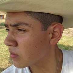 Mauro Tulio Castelàn