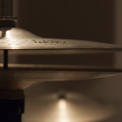 Kriminals In Disguise