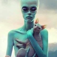 Małgorzata Modzelewska