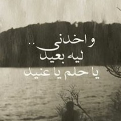 Ahmed Hassan 1302