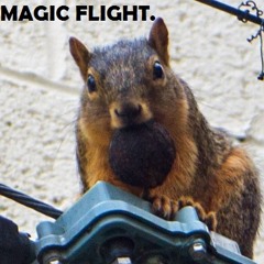 Magic Flight (the band)